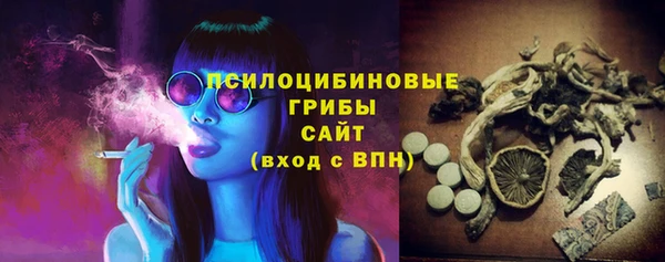 МДПВ Вязьма